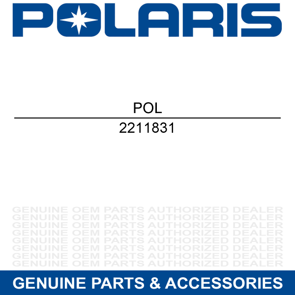 Polaris 2211831 SVC-DSP MODULE Online Sale